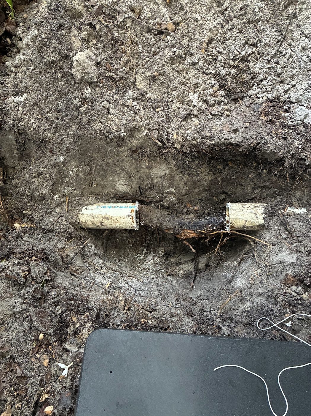 Broken PVC sewer line section excavated from a yard in Belleair, FL during a drain repair